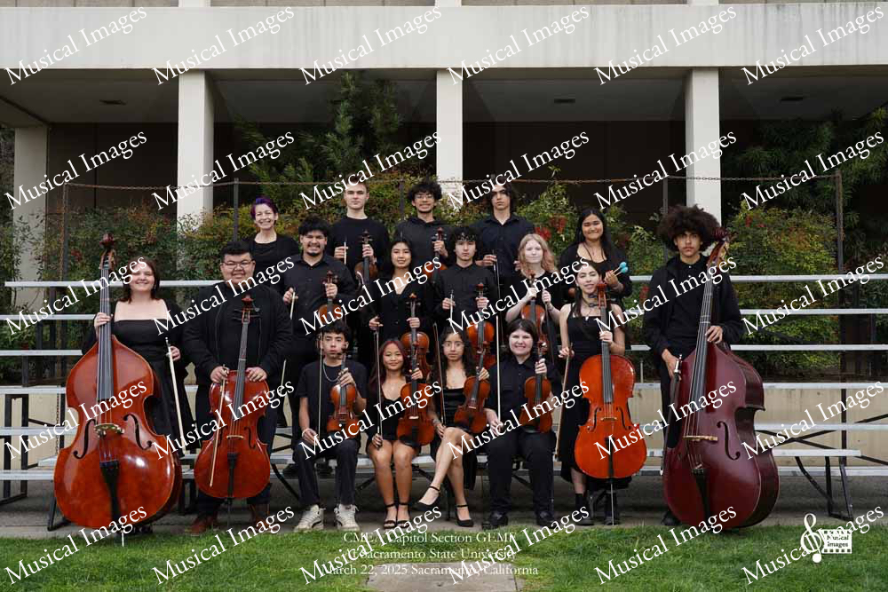 Musical Images